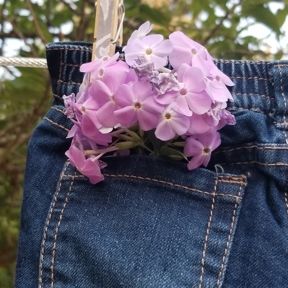 7 for all man kind baby jeans - Picture 3 of 7